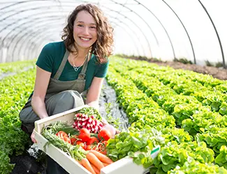 Greenhouse Humidification